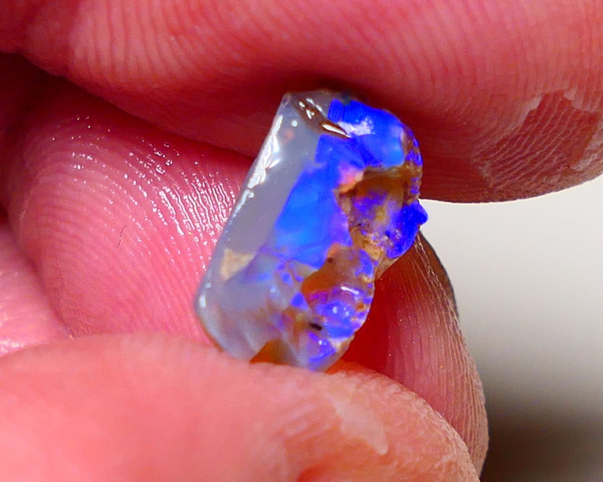 Lightning Ridge Opal Rough Small Opalised Wood Fossil 2.3cts Bright Blue Colours 13x7x5mm 0708