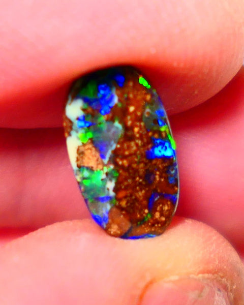Australian Queensland Boulder opal Polished Gemstone 2cts Electric Bright Multifires From Winton 13x7x2mm 0718