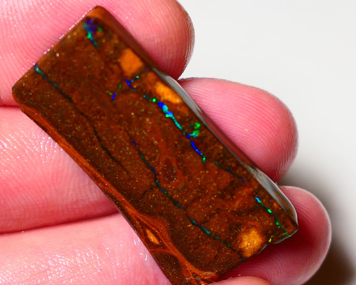 Queensland Boulder Matrix opal 31cts rough Winton  Bright colours in veins 38x18x5mm 0720