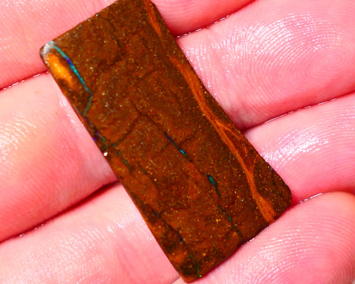 Queensland Boulder Matrix opal 31cts rough Winton  Bright colours in veins 38x18x5mm 0720