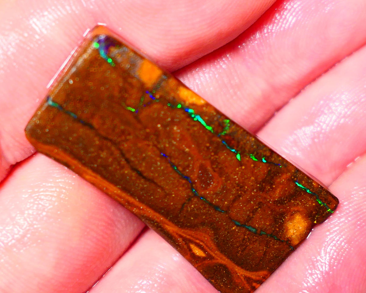 Queensland Boulder Matrix opal 31cts rough Winton  Bright colours in veins 38x18x5mm 0720