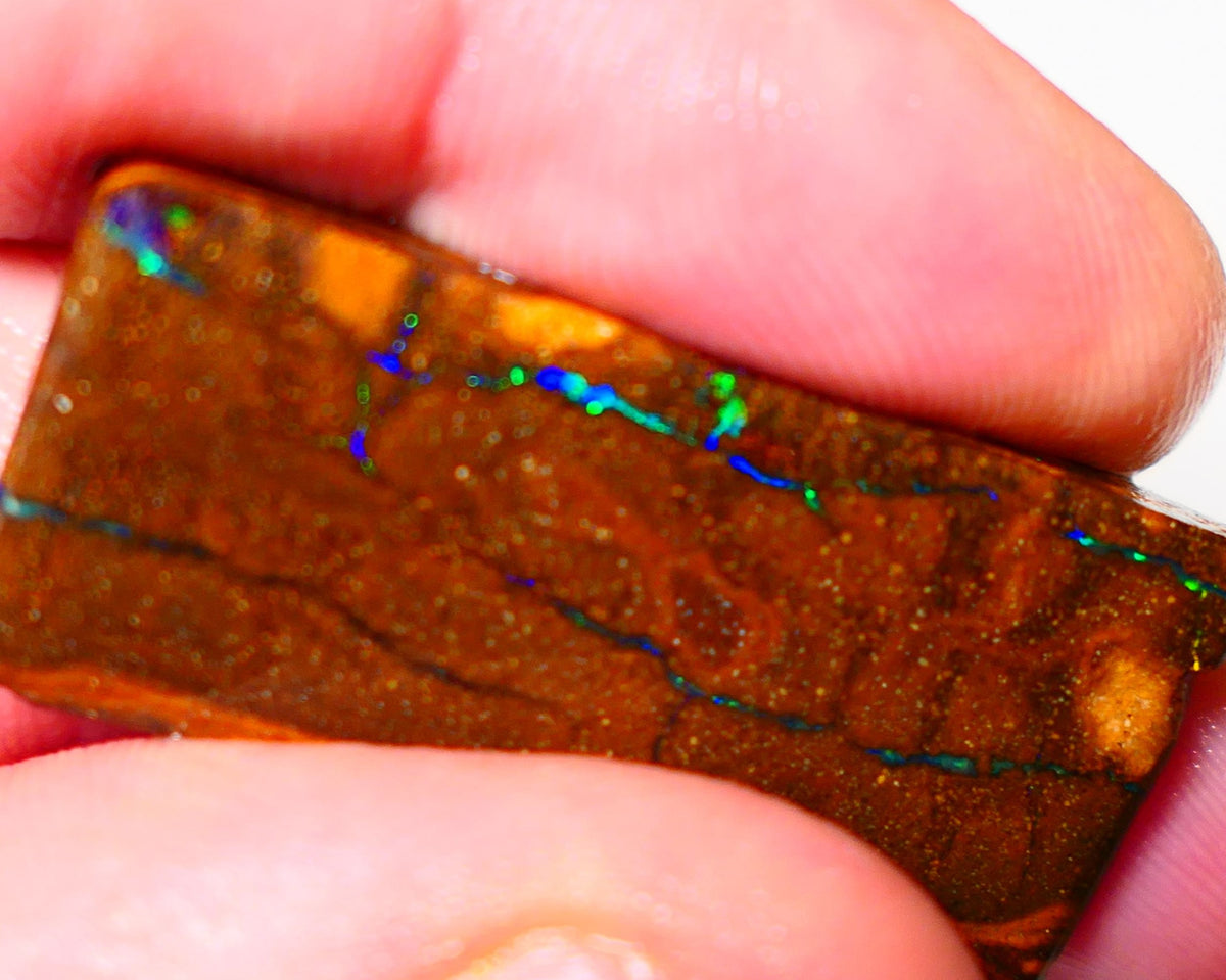 Queensland Boulder Matrix opal 31cts rough Winton  Bright colours in veins 38x18x5mm 0720