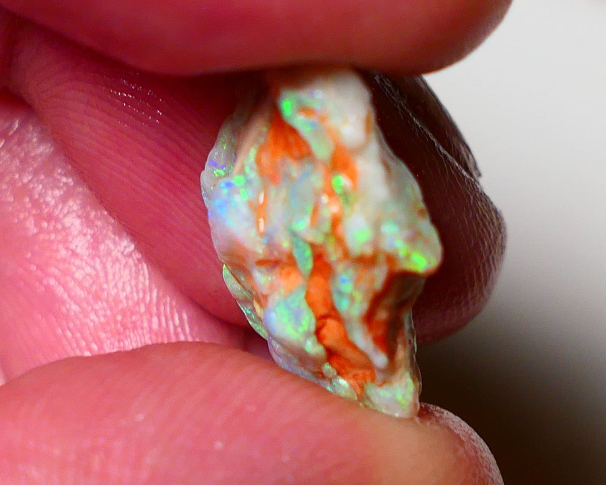 Lightning Ridge Rough Opal 8.25cts Crystal Untouched Knobby showing nice  Bright Multicolours 20x13x6mm 0805