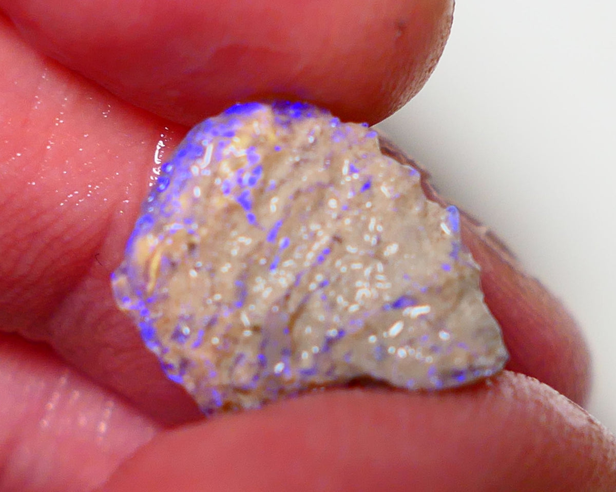 Lightning Ridge Rough Opal 3.55cts Dark Crystal Base Pea Knobby showing nice Bright colours 15x12x4mm 0814 AUCTION