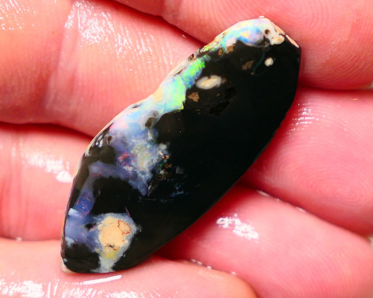 Lightning Ridge Rough / Rub Black opal  17cts Large Picture stone with some Reds & Multifires 37x16x4mm A1530