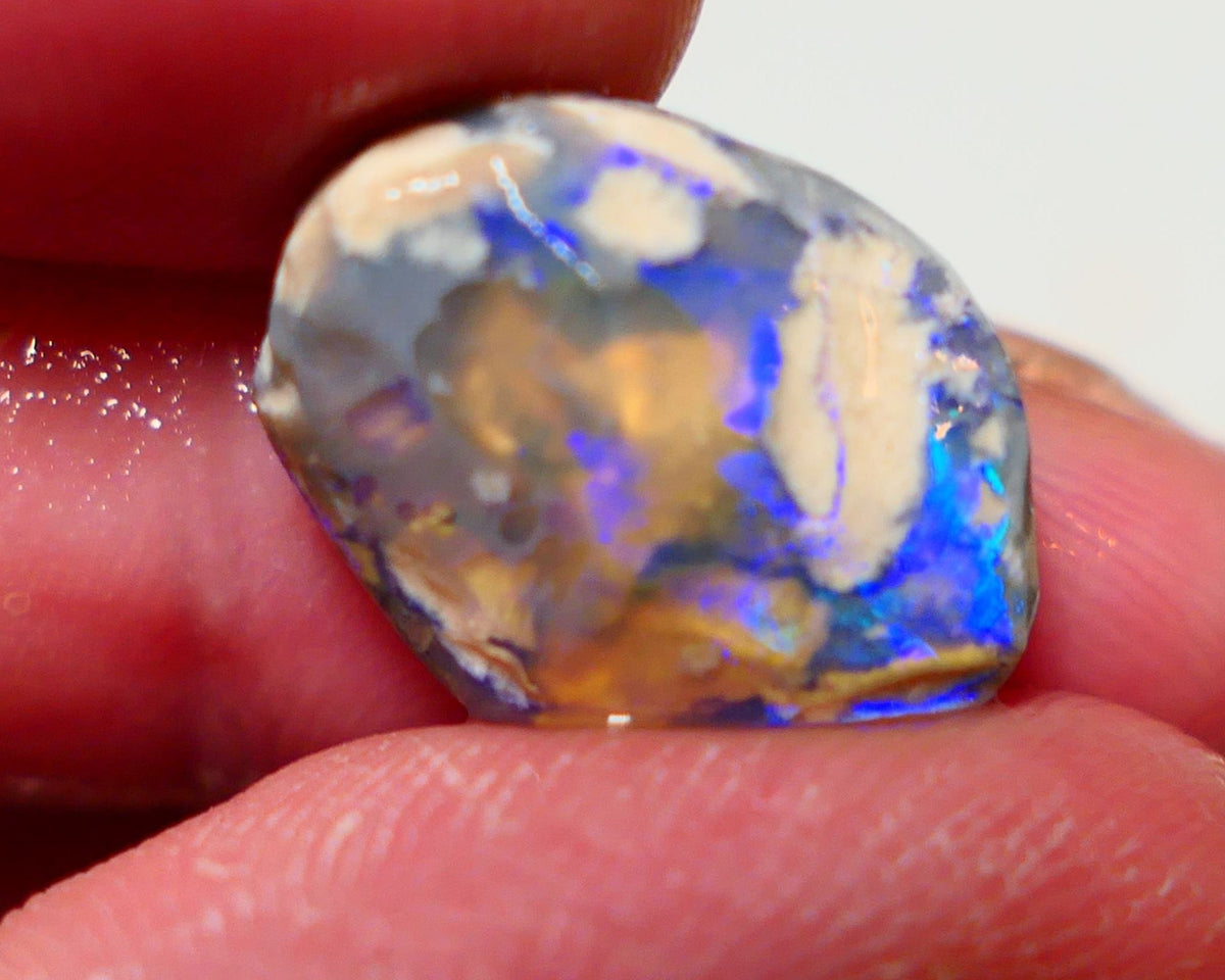 Opal Fever Mate Auction