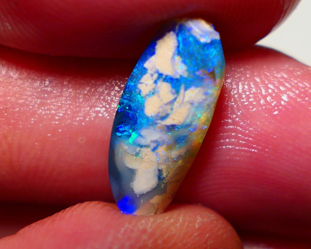 Lightning Ridge Opal Dark Base Opalised fossil Rough Rub 3.25cts Some gorgeous Bright fires showing 18x6x4mm 0907