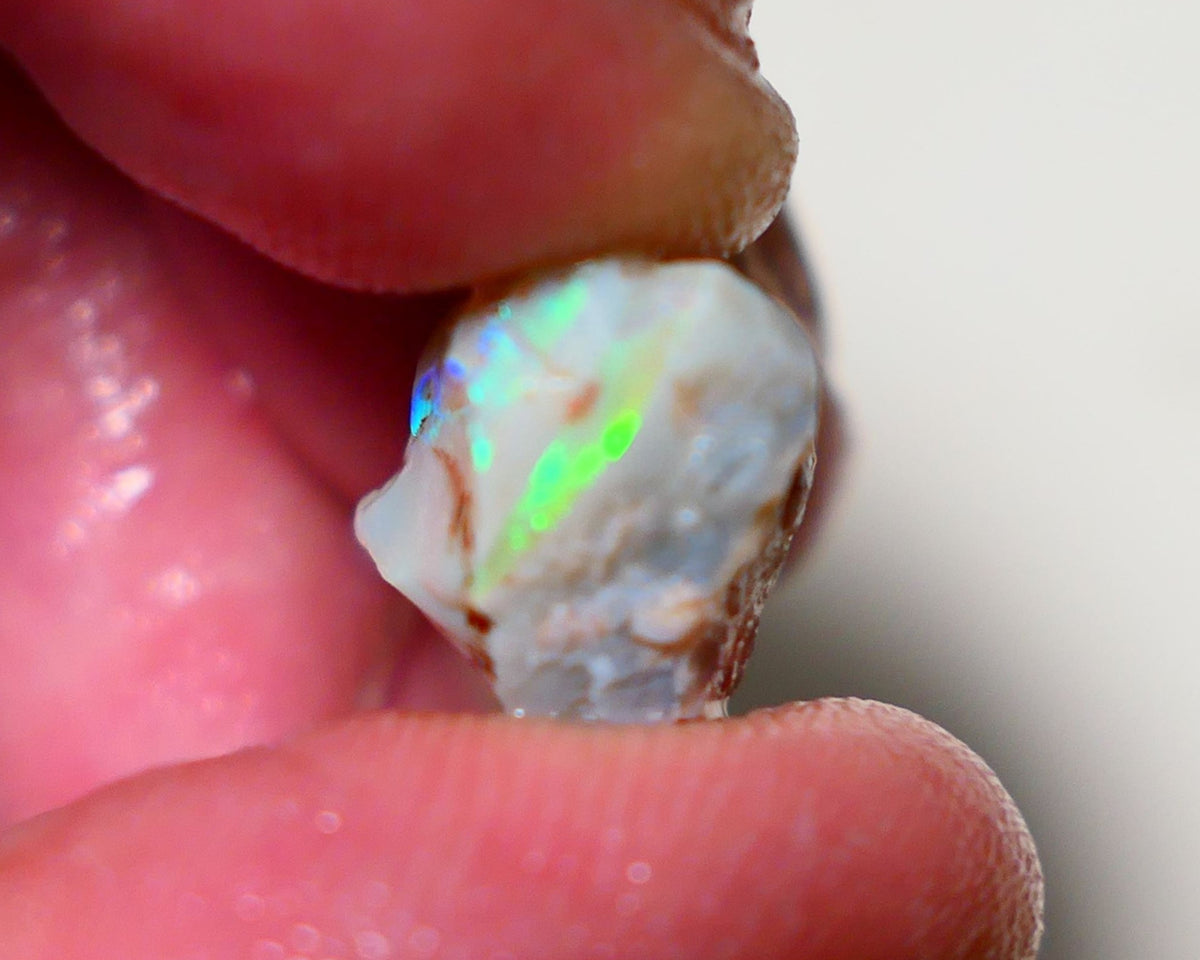 Lightning Ridge Rough Opal 12cts Grey base Seam opal with Bright colourful bar showing multicolours 19x11x10mm A1519