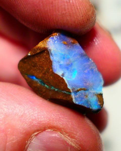 Queensland Boulder Boulder opal 23.50cts rough Winton gorgeous face with Blue dominant fires 20x12x11mm 2001A