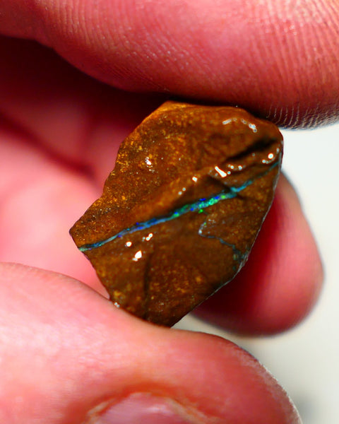 Queensland Boulder Boulder opal 23.50cts rough Winton gorgeous face with Blue dominant fires 20x12x11mm 2001A