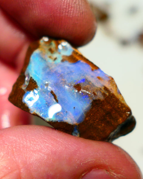 Queensland Boulder Boulder opal 63cts rough Winton gorgeous face with some fires 32x19x15mm 2002A