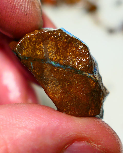 Queensland Boulder Boulder opal 63cts rough Winton gorgeous face with some fires 32x19x15mm 2002A