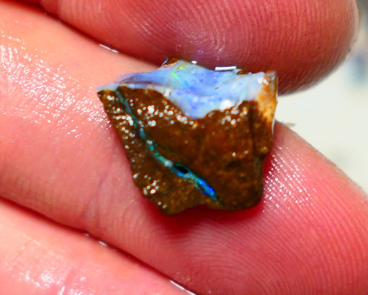 Queensland Boulder Boulder opal 6.5cts rough Winton gorgeous face with nice fires 15x14x6mm 1122