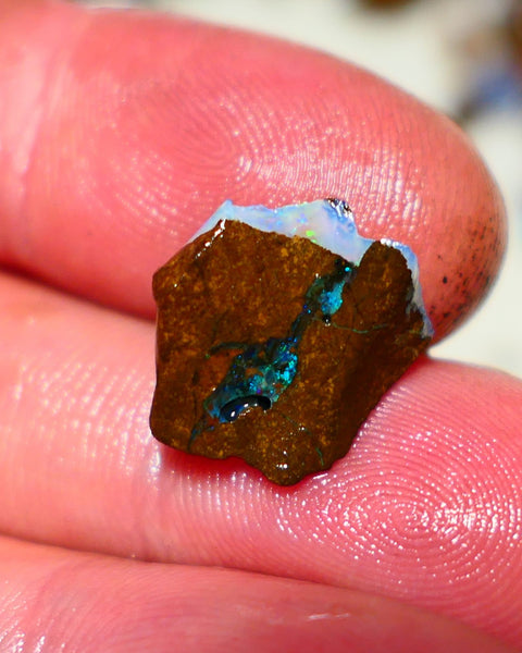 Queensland Boulder Boulder opal 6.5cts rough Winton gorgeous face with nice fires 15x14x6mm 1122