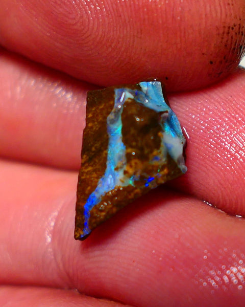 Queensland Boulder Boulder opal 7.00cts rough Winton gorgeous veins with nice fires 17x11x10mm 1123