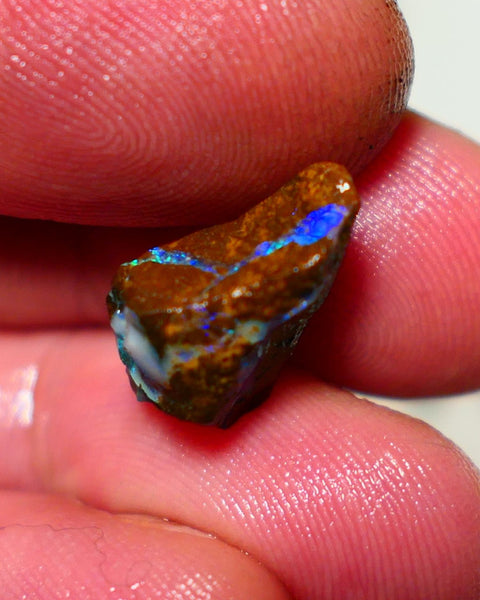 Queensland Boulder Boulder opal 7.00cts rough Winton gorgeous veins with nice fires 17x11x10mm 1123