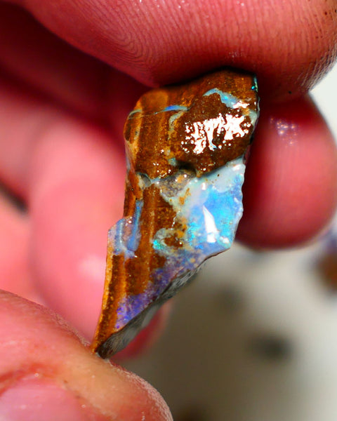 Queensland Boulder Boulder opal 21cts rough Winton gorgeous veins with nice fires 26x16x9mm 1124