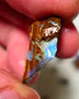 Queensland Boulder Boulder opal 21cts rough Winton gorgeous veins with nice fires 26x16x9mm 1124