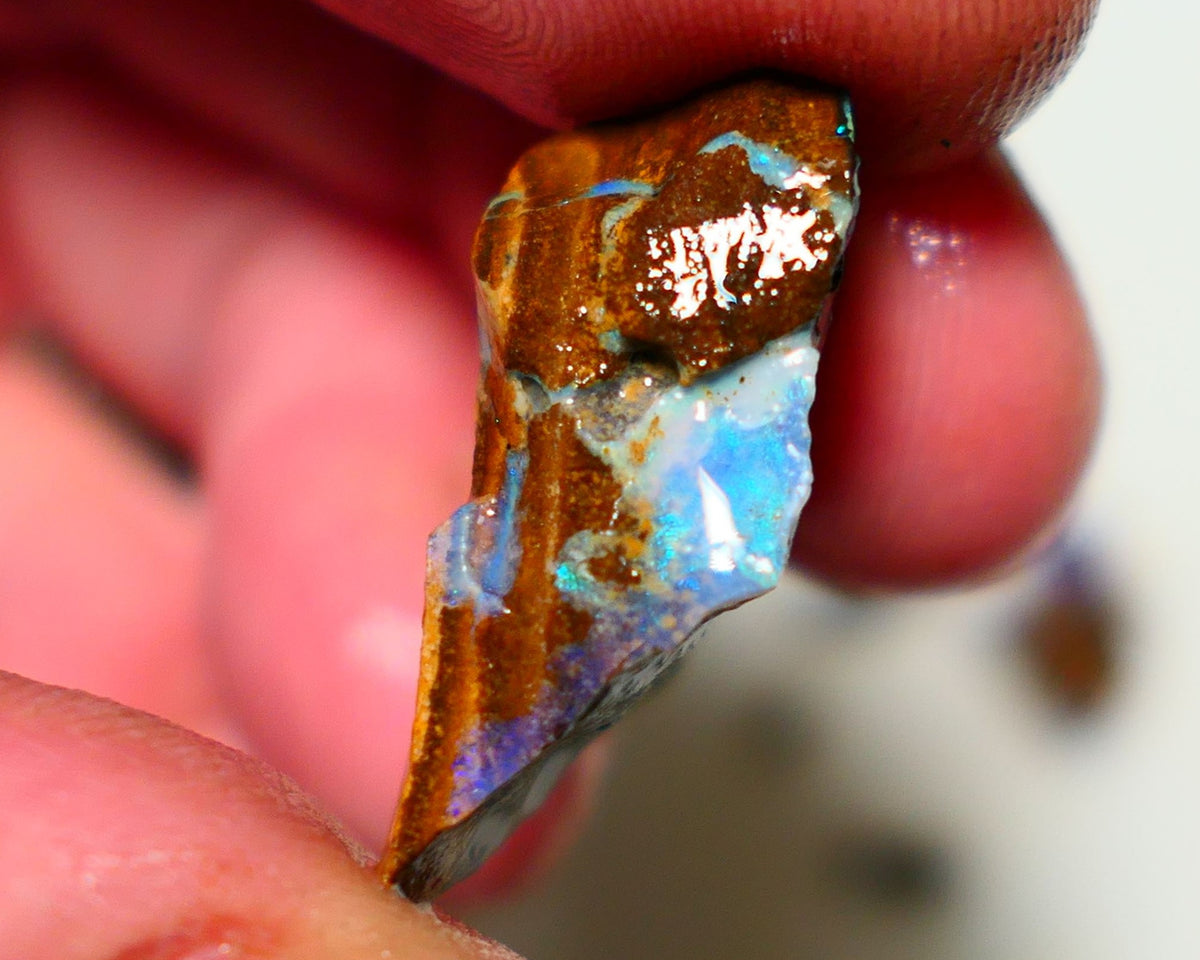 Queensland Boulder Boulder opal 21cts rough Winton gorgeous veins with nice fires 26x16x9mm 1124