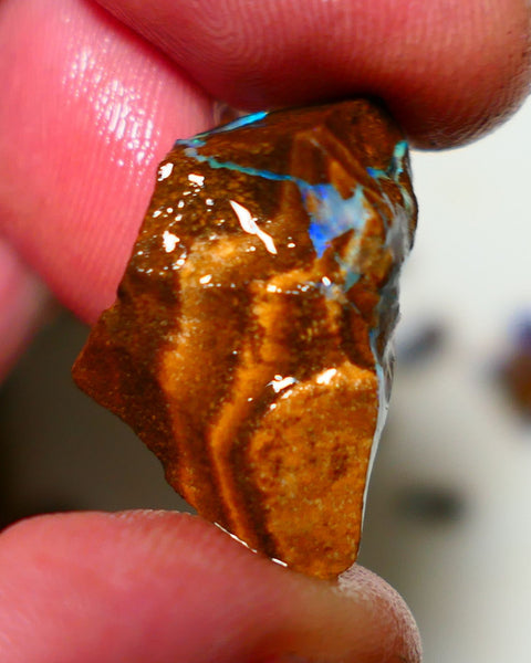 Queensland Boulder Boulder opal 21cts rough Winton gorgeous veins with nice fires 26x16x9mm 1124