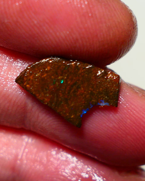 Queensland Boulder Boulder opal 4.15cts rough Winton gorgeous veins with nice fires 14x10x4mm 1125