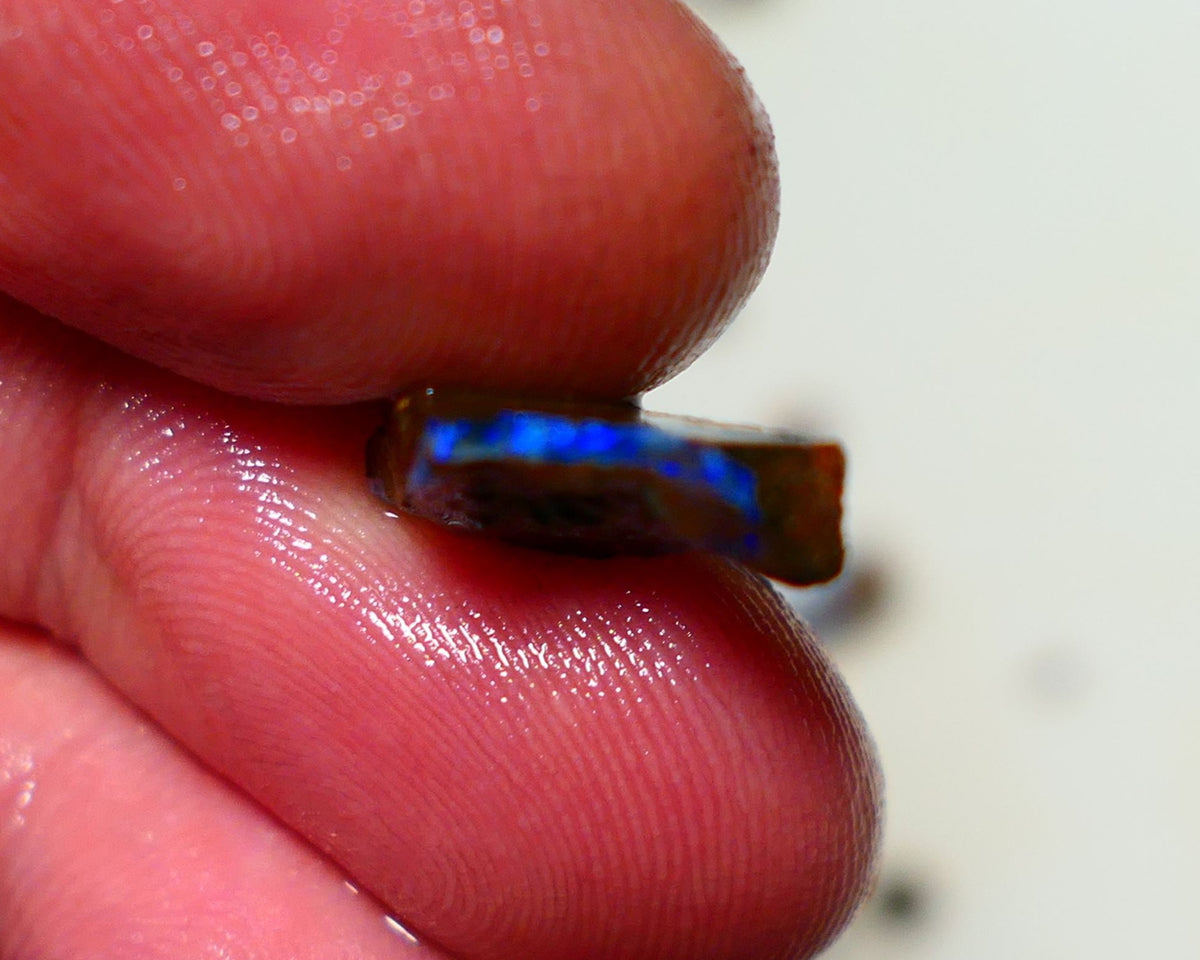 Queensland Boulder Boulder opal 4.15cts rough Winton gorgeous veins with nice fires 14x10x4mm 1125