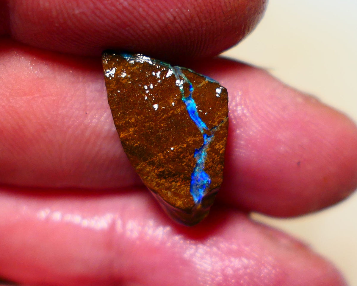 Queensland Boulder Boulder opal 9.30cts rough Winton gorgeous veins with nice fires 21x12x7mm 1126