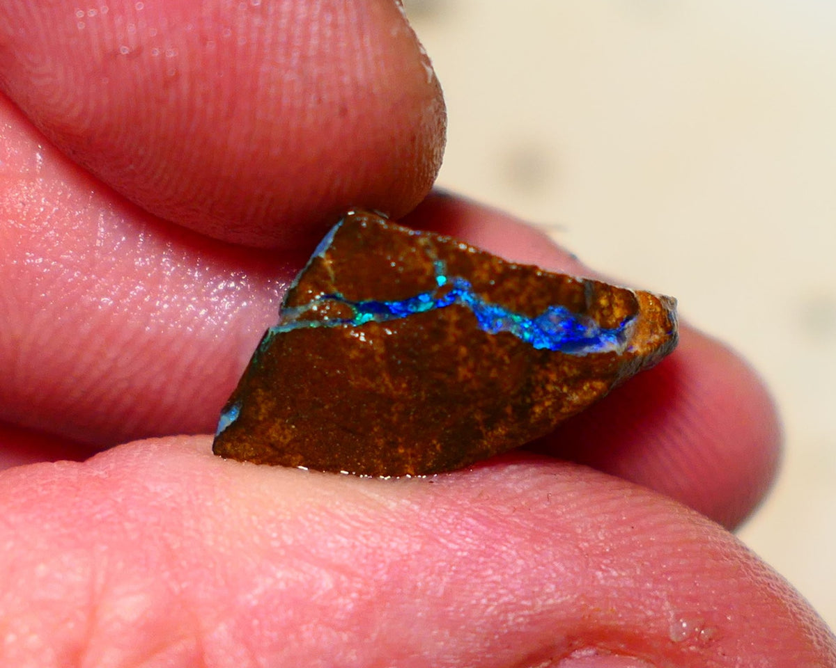 Queensland Boulder Boulder opal 9.30cts rough Winton gorgeous veins with nice fires 21x12x7mm 1126