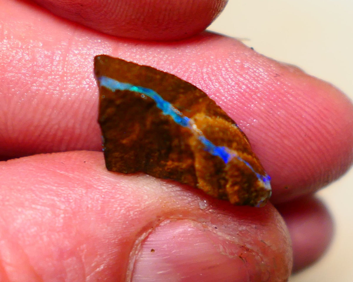 Queensland Boulder Boulder opal 9.30cts rough Winton gorgeous veins with nice fires 21x12x7mm 1126