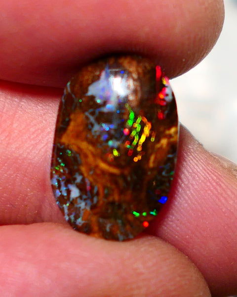 Australian Queensland Boulder Matrix opal Polished Gemstone 7.00cts Red Alert gorgeous Bright Multifires 18x11.5x4mm BO016