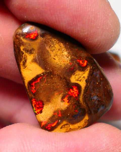 Queensland Boulder Matrix opal RED ALERT SOMETHING IS ON FIRES !!!!!!!! 23.50cts rough rub Koroit gorgeous face with Amazing Red Dominant fires 28x18x5mm BO-014