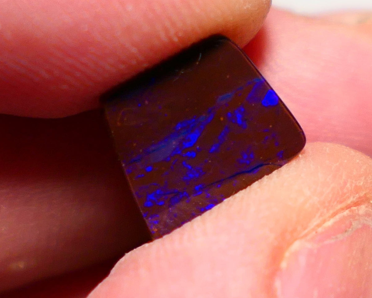 Australian Queensland Boulder opal Polished Gemstone 3.10cts Gem Bright gorgeous blue fires From Winton 11x10x3mm BO009