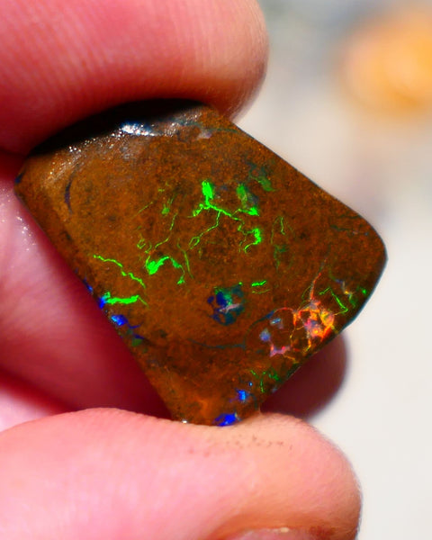 Queensland Boulder Matrix opal Stunning 14cts rough rub Koroit gorgeous faces with Very Bright Yellow/Orange Dominant fires 20x16x4mm BO-006