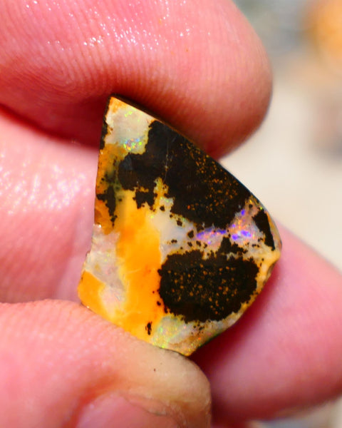 Queensland Boulder Boulder opal 12.40cts rough rub nice face with some multifires 19x14x5mm BO004