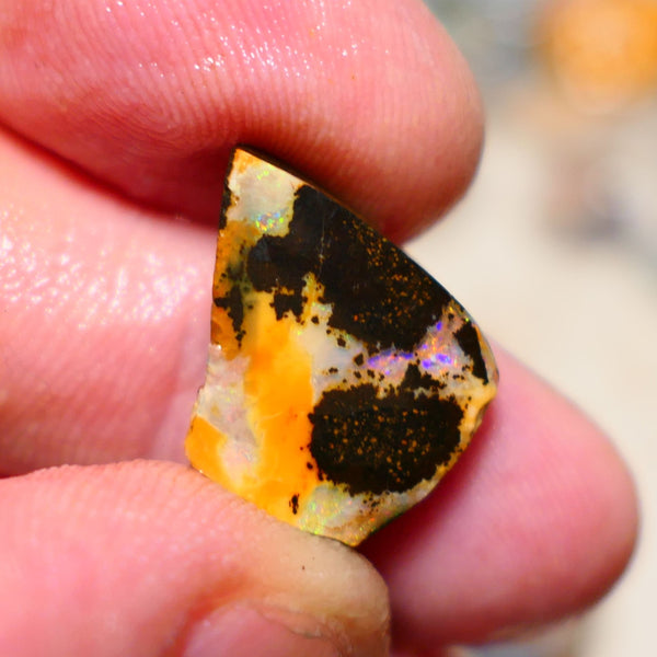 Queensland Boulder Boulder opal 12.40cts rough rub nice face with some multifires 19x14x5mm BO004