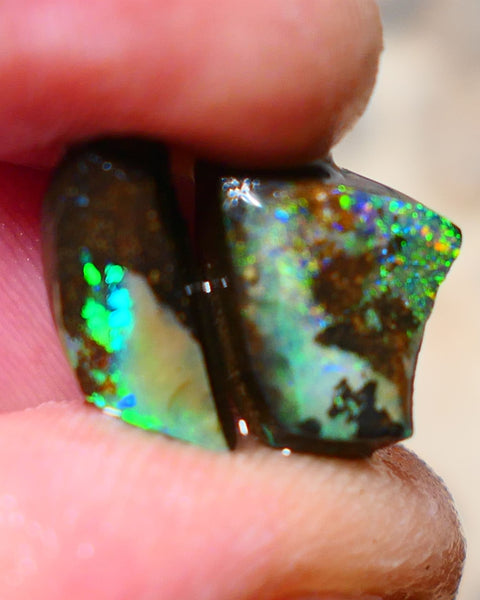 Queensland Boulder opal small pair 7.7cts rough rubs Winton gorgeous faces with Bright Multifires 14x6x4mm & 11x9x5mm BO-003