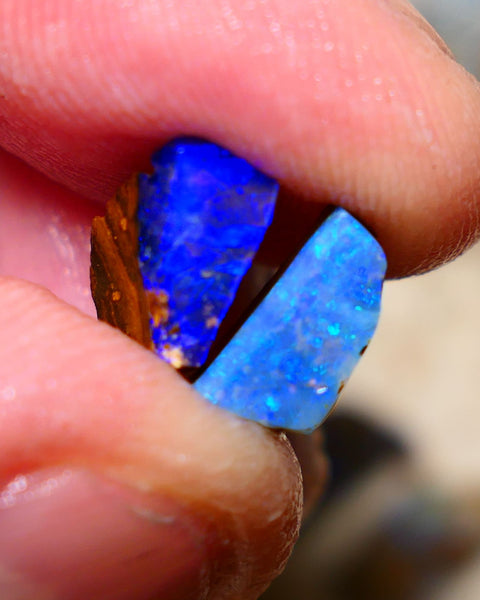 Queensland Boulder opal small pair 6.35cts rough rubs Winton gorgeous faces with Bright fires 13x8x5mm & 10x5x4mm BO-002