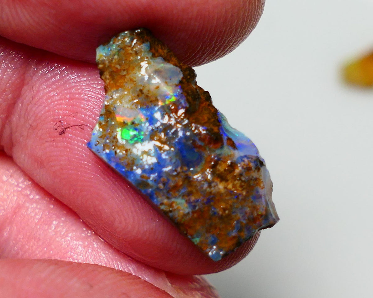 Queensland Boulder Boulder opal 7.00cts rough Winton gorgeous veins with nice Blue dominant fires 22x11x3mm BO-025