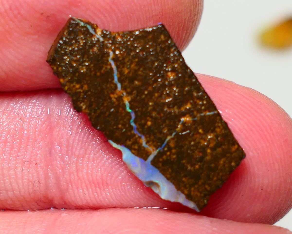 Queensland Boulder Boulder opal 7.00cts rough Winton gorgeous veins with nice Blue dominant fires 22x11x3mm BO-025