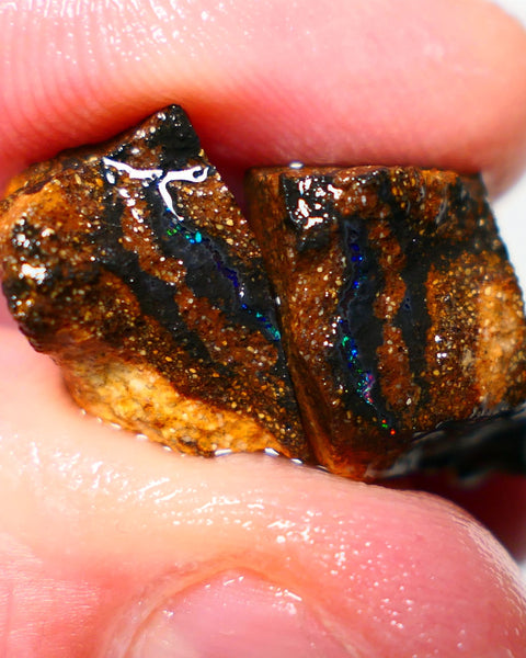 Queensland Boulder Boulder opal 17cts rough Winton veins with nice fires 15x11x7mm & 15x9x7mm BO-021