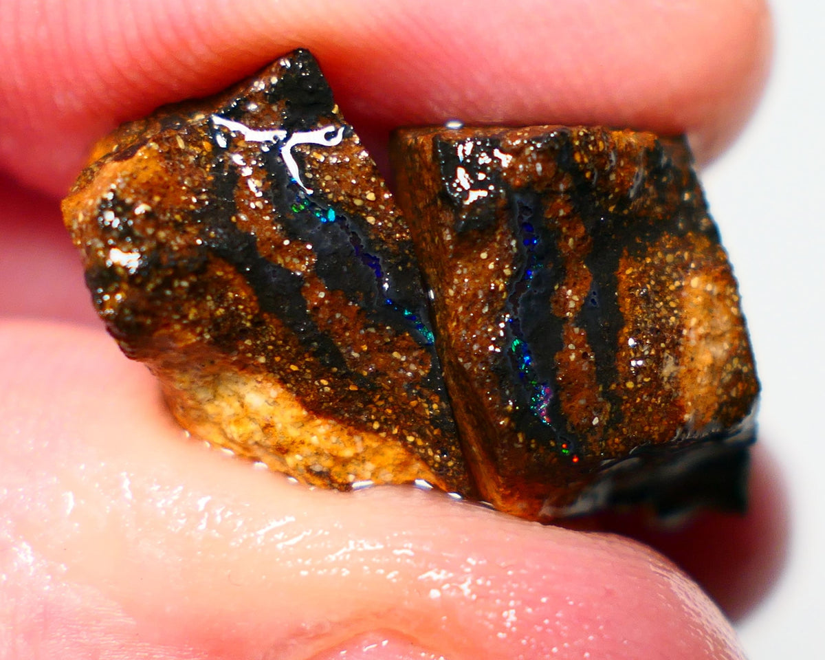 Queensland Boulder Boulder opal 17cts rough Winton veins with nice fires 15x11x7mm & 15x9x7mm BO-021