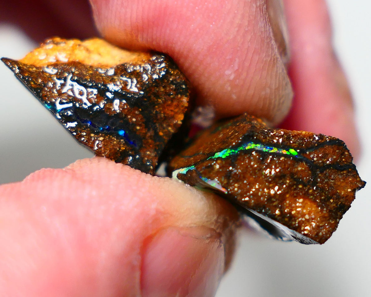 Queensland Boulder Boulder opal 17cts rough Winton veins with nice fires 15x11x7mm & 15x9x7mm BO-021