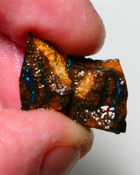 Queensland Boulder Boulder opal 17cts rough Winton veins with nice fires 15x11x7mm & 15x9x7mm BO-021