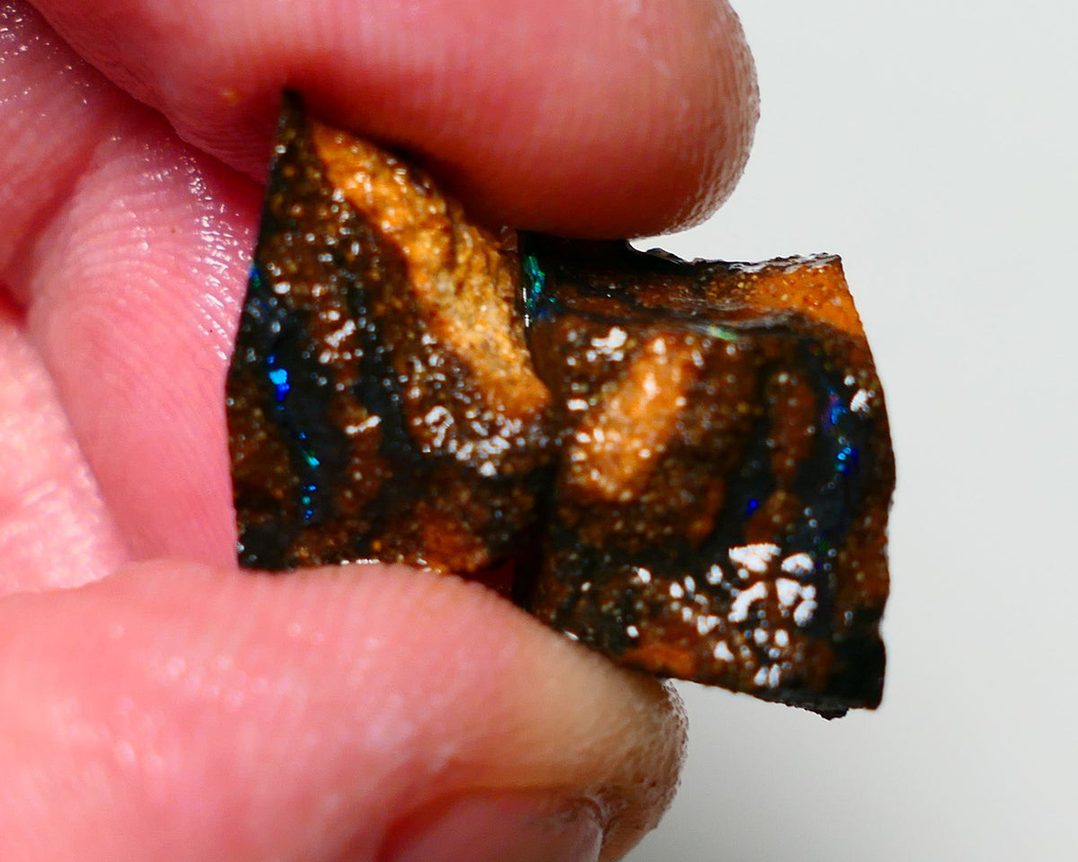 Queensland Boulder Boulder opal 17cts rough Winton veins with nice fires 15x11x7mm & 15x9x7mm BO-021