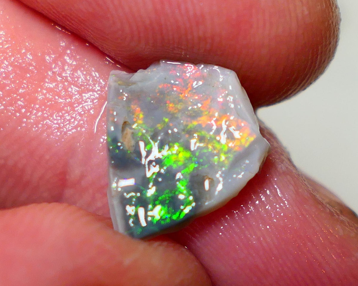 Mulga Rough Opal 1.9cts Stunning Dark Base Seam Vivid Vibrant Very Bright Yellow / Orange Dominant Multi colour fires to Cut / carve & polish 14x12x2.4mm 1133