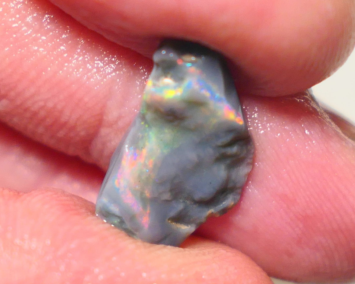 Mulga Rough Opal 3.65cts Stunning Dark Base Seam Bright Orange Dominant Multi colour fires to Cut / carve & polish 11x10x2.5mm 1138