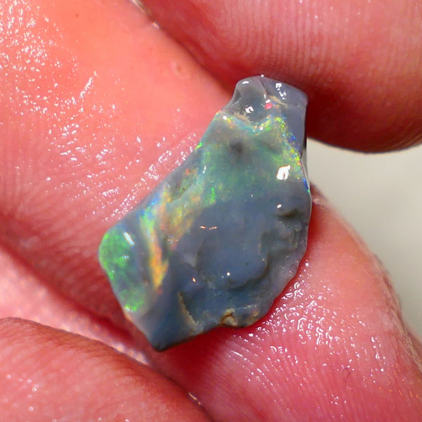 Mulga Rough Opal 3.65cts Stunning Dark Base Seam Bright Orange Dominant Multi colour fires to Cut / carve & polish 11x10x2.5mm 1138