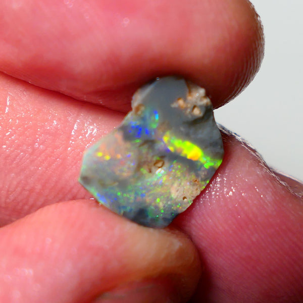 Mulga Rough rub Opal 1.55cts Stunning Dark Base Seam Band of gorgeous Bright & vibrant Multi colour fires to Cut / carve & polish 13x10x2mm 1139