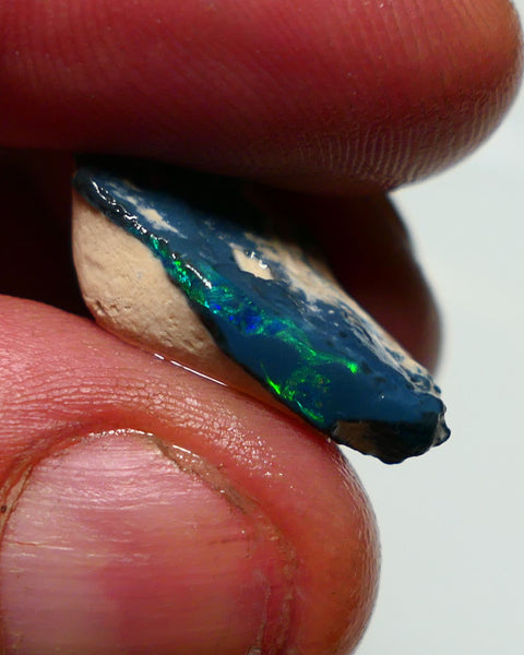 Lightning Ridge Black Rough Opal 10cts Gamble showing some Green & blue & Yellow fires 23x13x7mm 1320