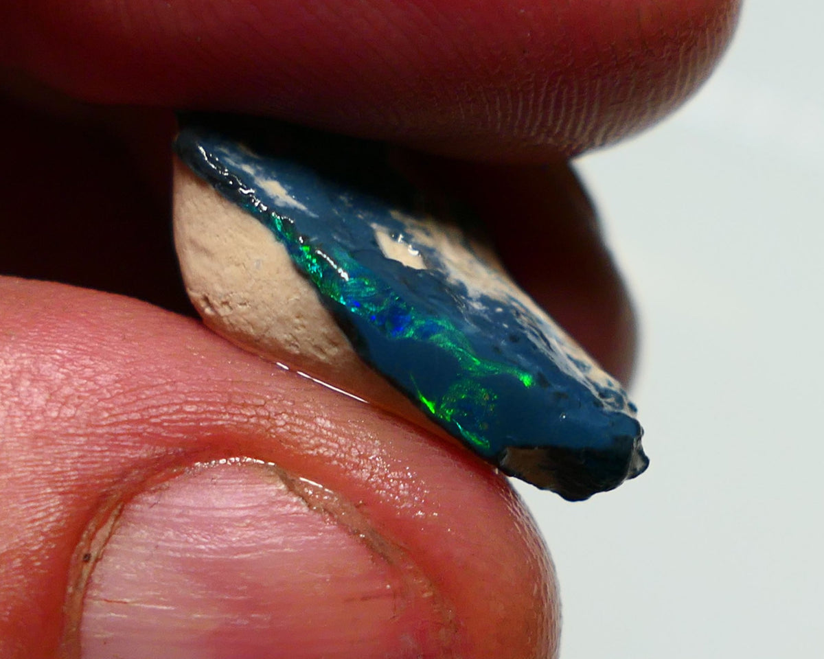 Lightning Ridge Black Rough Opal 10cts Gamble showing some Green & blue & Yellow fires 23x13x7mm 1320